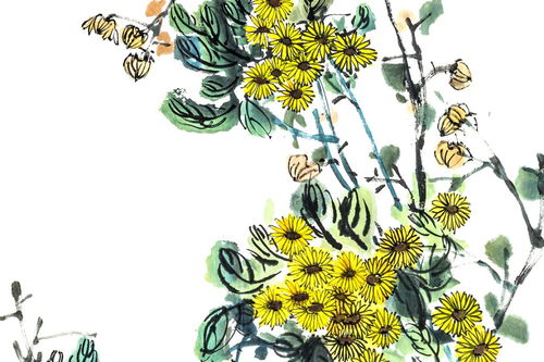 古詩,詩句,菊花,小學(xué)