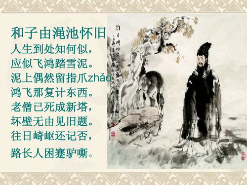 體現(xiàn)詩人生態(tài)度的古詩句