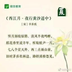 寫一句關(guān)于夏天的古詩(shī)句