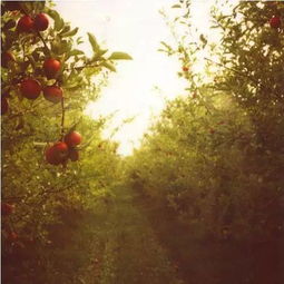 關(guān)于培育人才和團(tuán)隊(duì)精神的詩句