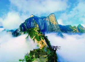 有關(guān)于華山的詩句