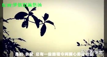 離別的詩句古詩大全