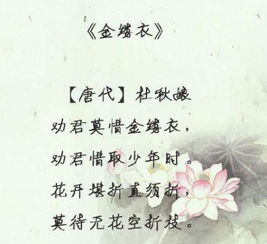 關(guān)于立夏的古詩(shī)和句子,春的古詩(shī)句子,堅(jiān)持的古詩(shī)句子