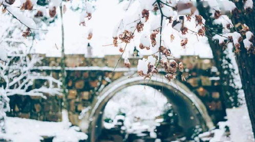 詩句,做人,學(xué)會