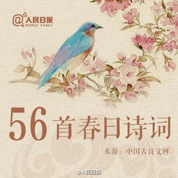 春花春柳的詩句古詩