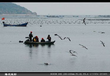 關(guān)于漁家兒女的詩句