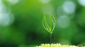 古詩(shī),詩(shī)句,描寫(xiě),草原