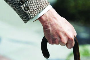 有關于退休領導的詩句