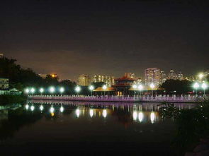 看夜景很美的古詩句