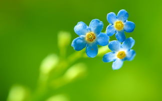 5個(gè)關(guān)于春天的詩(shī)句