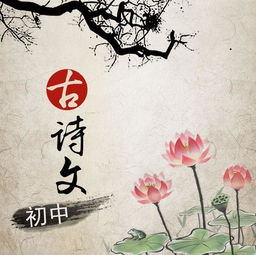 古詩,詩句,初中