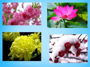 關(guān)于讀書(shū)和梅花的詩(shī)句