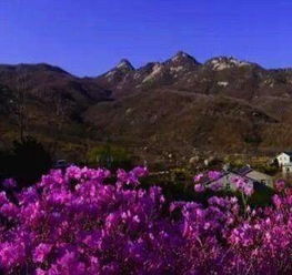 關(guān)于山林的空靈的詩句