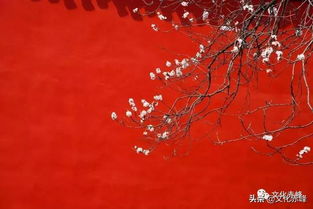 關(guān)于春天的詩句及意譯