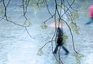 關(guān)于陰雨天氣的詩(shī)句