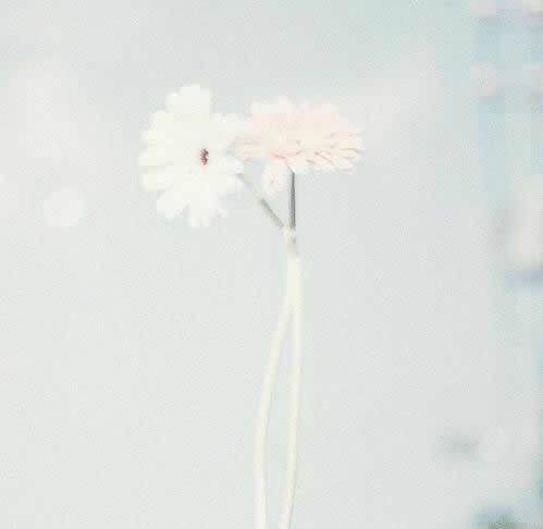 關(guān)于物是人非流淚詩(shī)句