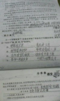 夏季的古詩句不少于三句