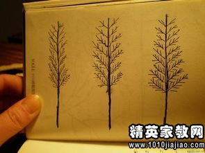 表現(xiàn)堅持不懈的精神的古詩句