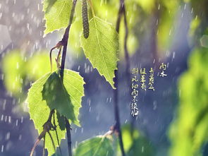 關(guān)于立春和雨水的詩(shī)句