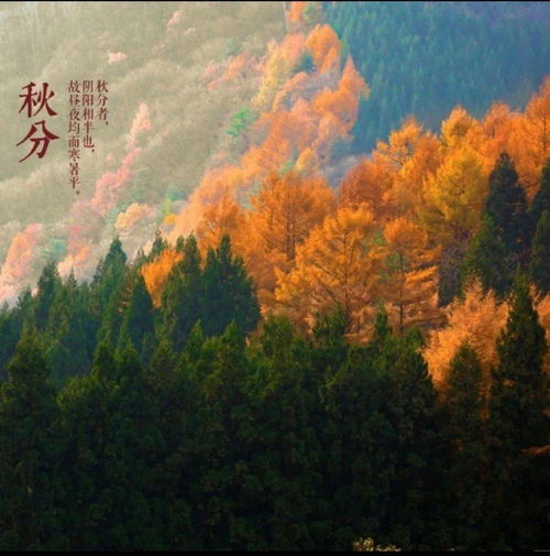 詩句,二十四,秋風(fēng)