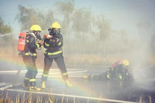 關(guān)于不畏嚴(yán)寒不懼艱難的詩句