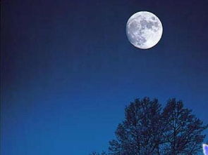 中秋詩(shī)句古詩(shī)四首