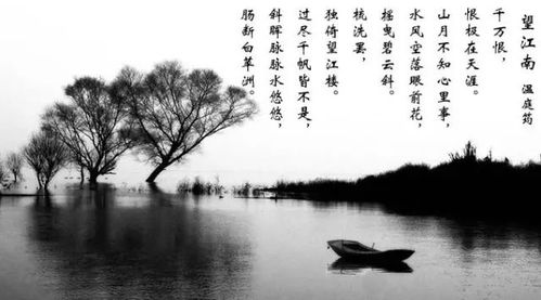 詩句,親人,后悔