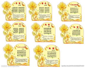 菊花菊花菊花菊花的詩句古詩