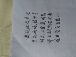 陪伴妻子一生的詩句,愿意陪伴一生的詩句,陪伴愛人終老一生的詩句