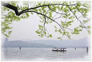 古詩(shī)詞,詩(shī)句,杭州西湖