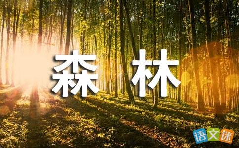 描寫(xiě)樹(shù)林茂密的詩(shī)句古詩(shī)大全