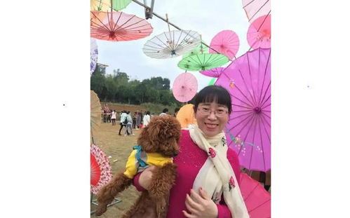 關(guān)于《天仙配》的詩(shī)句