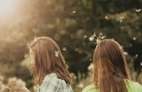 關(guān)于回憶友情的詩(shī)句