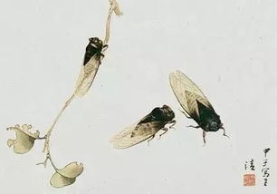 蟬古詩的意思和詩句,寫到蟬的古詩還有什么詩句是什么,蟬的詩句古詩