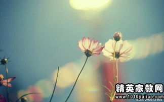 挽回愛(ài)人的古詩(shī)句