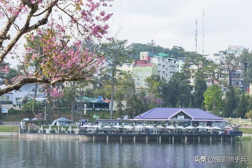 關(guān)于人工湖的詩(shī)句