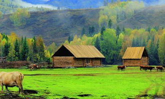 關(guān)于田園風(fēng)光的詩句還有哪些