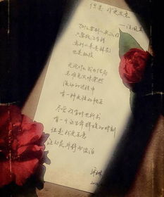 汪國真關于選擇放棄的詩句