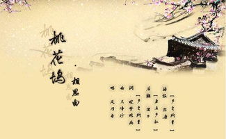 關(guān)于孤獨(dú)的詩(shī)句,關(guān)于孤獨(dú)的詩(shī)句古詩(shī),關(guān)于孤的詩(shī)句五個(gè)字