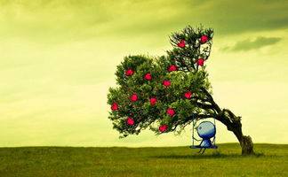 關(guān)于面對(duì)挫折的古詩(shī)句