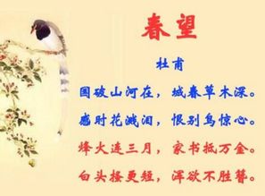 詩句,形容,追求,醫(yī)生