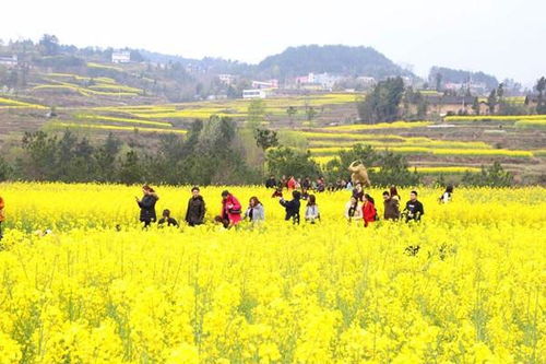 山間,詩句,美景,表現(xiàn)