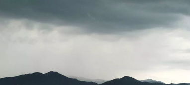 關(guān)于直率的詩句