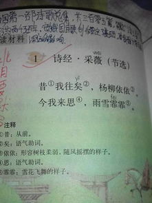 描寫雨的古詩句六級