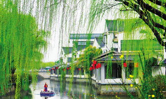 鶯啼的古詩(shī)句