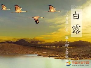 關(guān)于白露的詩句節(jié)氣