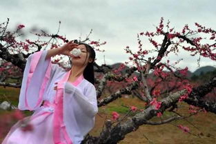 呼吁人們多讀古詩詞的詩句