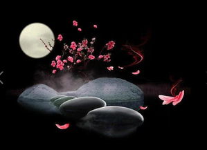 關(guān)于夜晚安靜的詩(shī)句