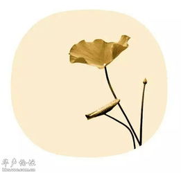 詩(shī)句,遺憾,友情