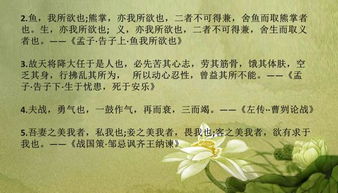 詩(shī)句,初中,常見